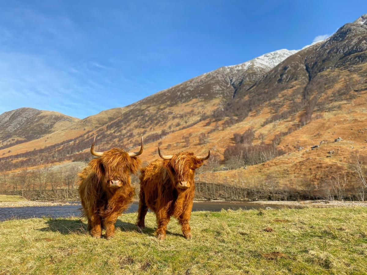Glen Nevis Holidays Fort William Exteriör bild