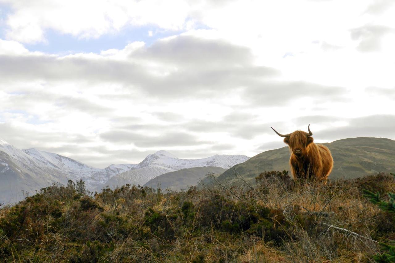 Glen Nevis Holidays Fort William Exteriör bild