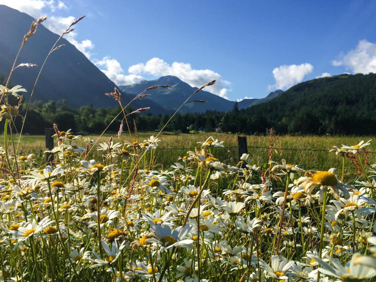 Glen Nevis Holidays Fort William Exteriör bild