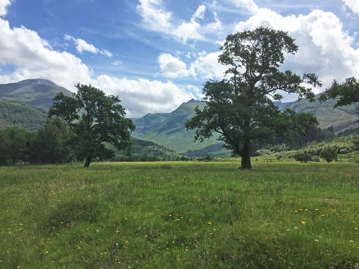 Glen Nevis Holidays Fort William Exteriör bild